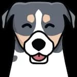 AI-Powered Coaching by Kona logo