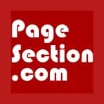 AI web page translator by pagesection.com logo