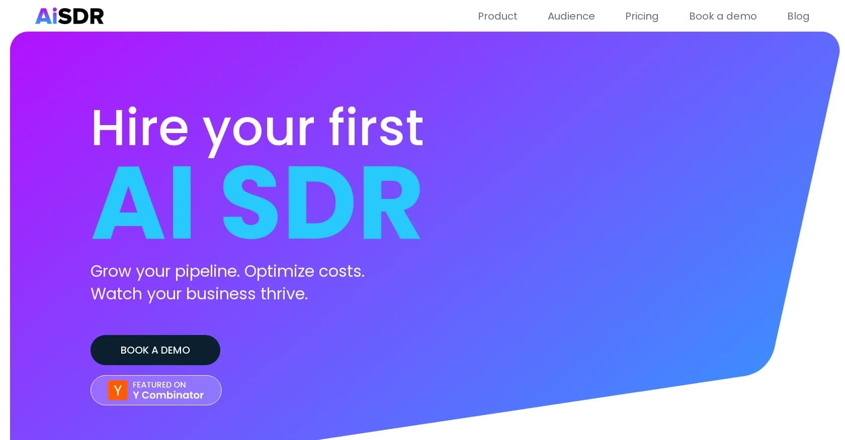 AiSDR homepage screenshot — AI-powered sales automation to grow your pipeline