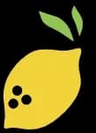 AnySolveAI logo