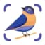 BirdSnap logo