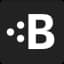 BraintrustData logo