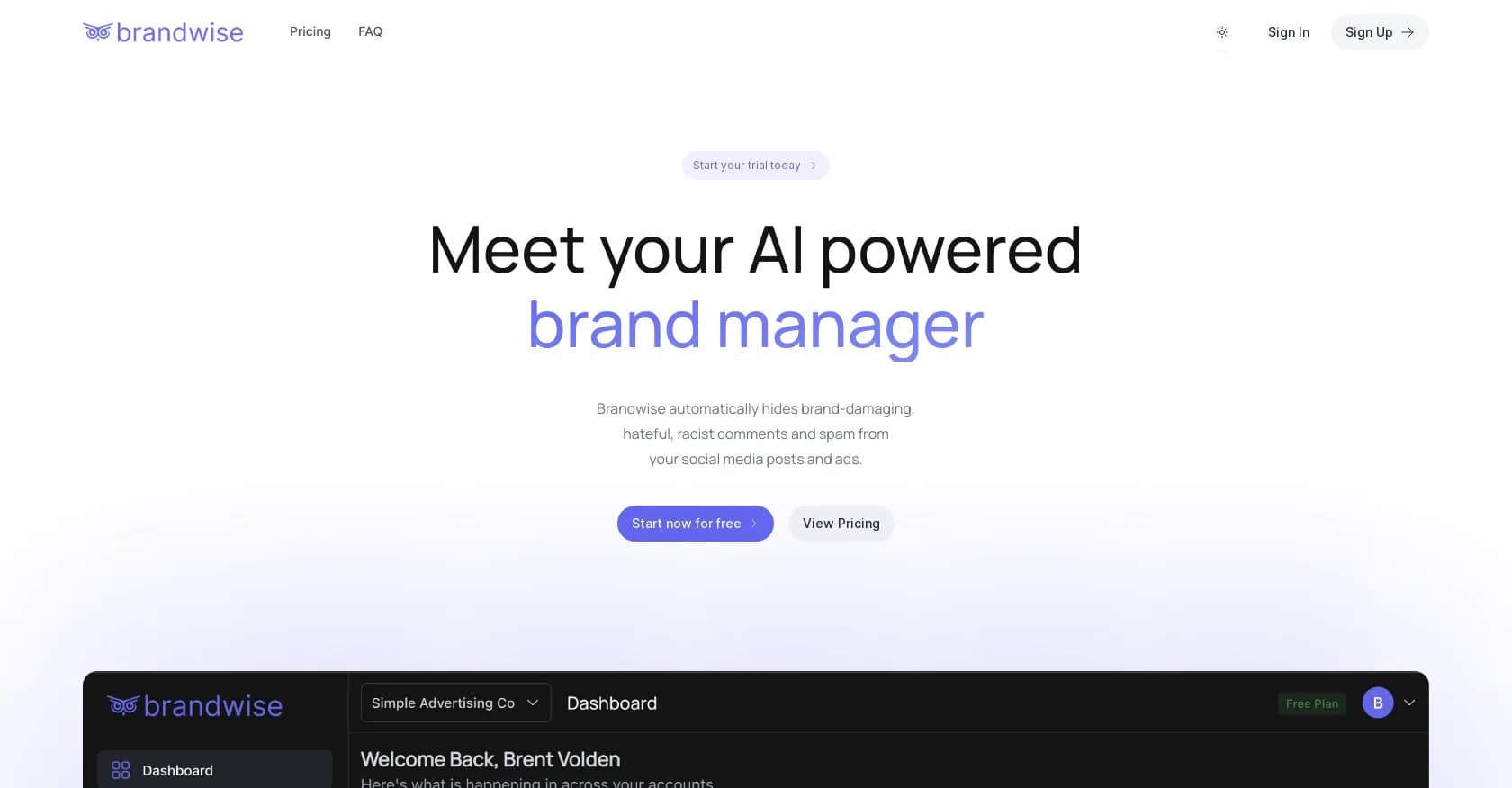 Brandwise homepage screenshot — Protect your brand from harmful social media comments