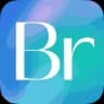 Bridge logo