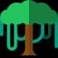 Canopy API logo