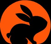 CodeRabbitv1.4 logo