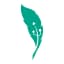 CopyTruck logo