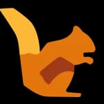 DataSquirrel logo