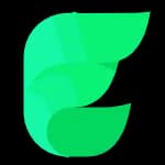 Elisi logo