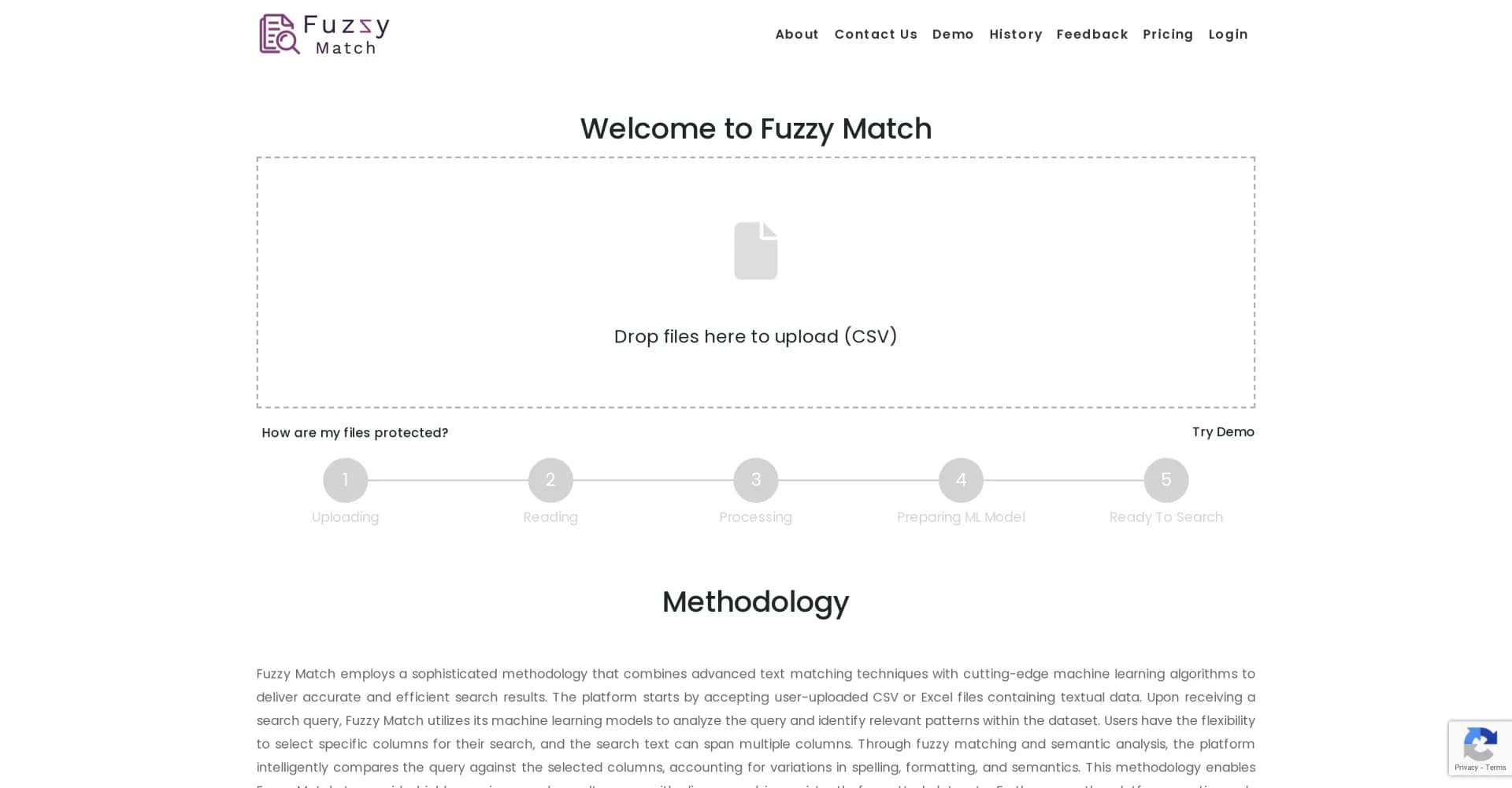 Fuzzy Match homepage screenshot — Revolutionize data matching with AI-powered accuracy.