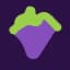GrapeGPT logo