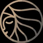 Hairstyle AI logo