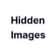 Hidden Images logo