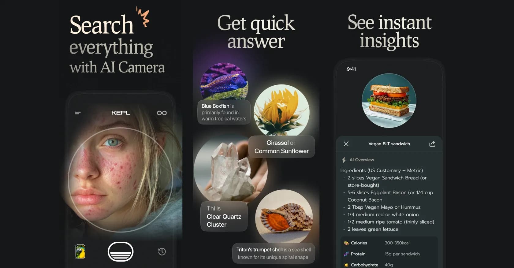 KEPL - Vision AI Searchv1.1 homepage screenshot — Ask AI with your Camera.