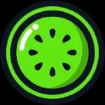 Kiwi Fitness logo