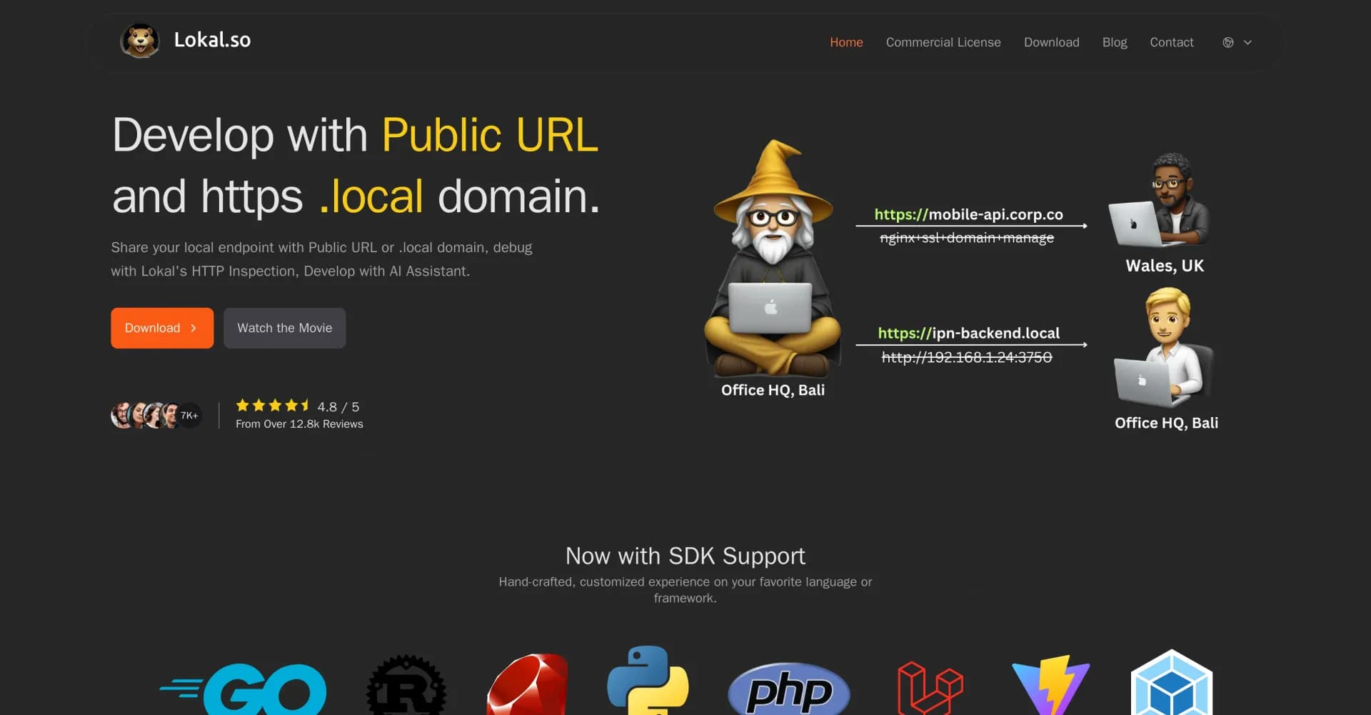Lokal homepage screenshot — Share endpoints easily with public URLs and mDNS.