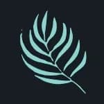 Mindbuddy logo