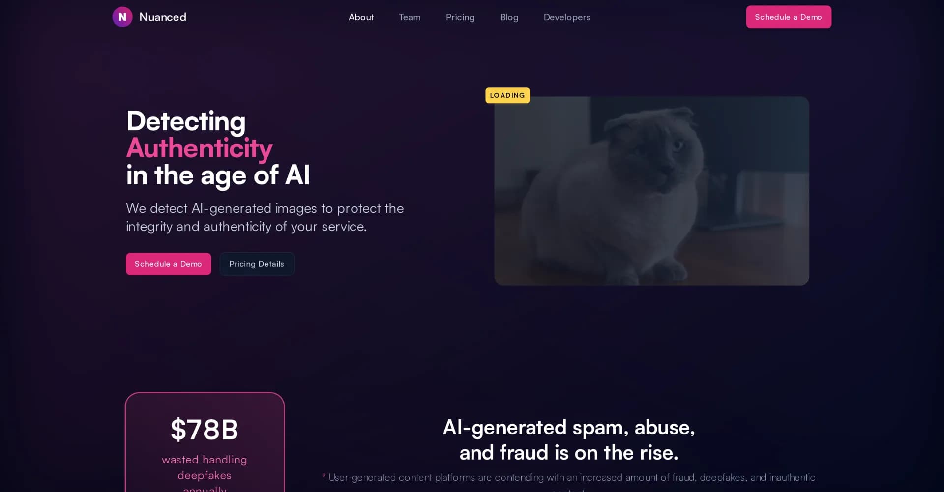 Nuanced homepage screenshot — Detect AI-generated images to protect authenticity.