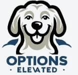 Options Elevated logo