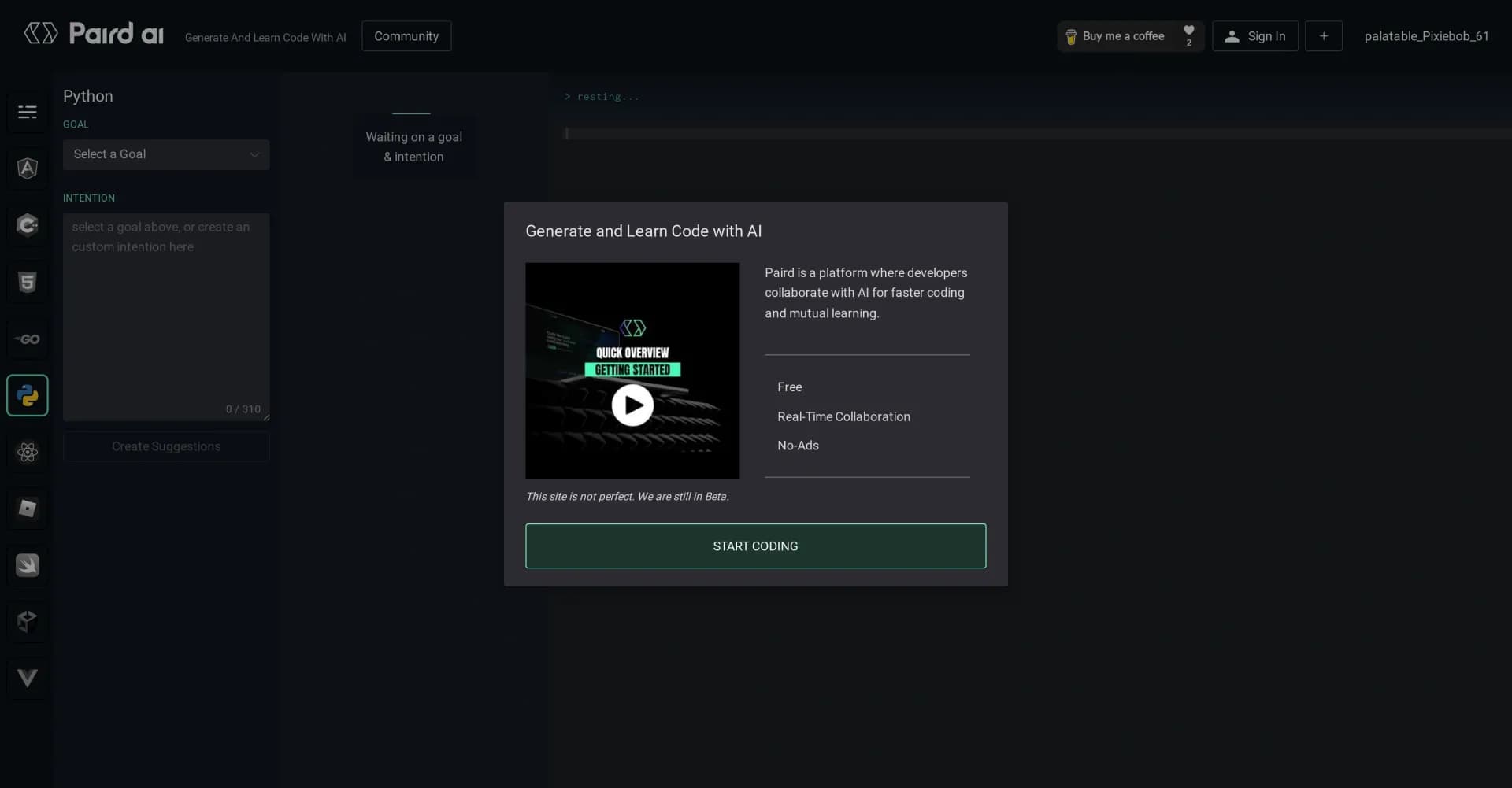 Paird.ai homepage screenshot — Generate and learn code with AI