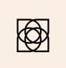 PatternLook logo