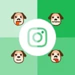 Pet Mood Detector logo