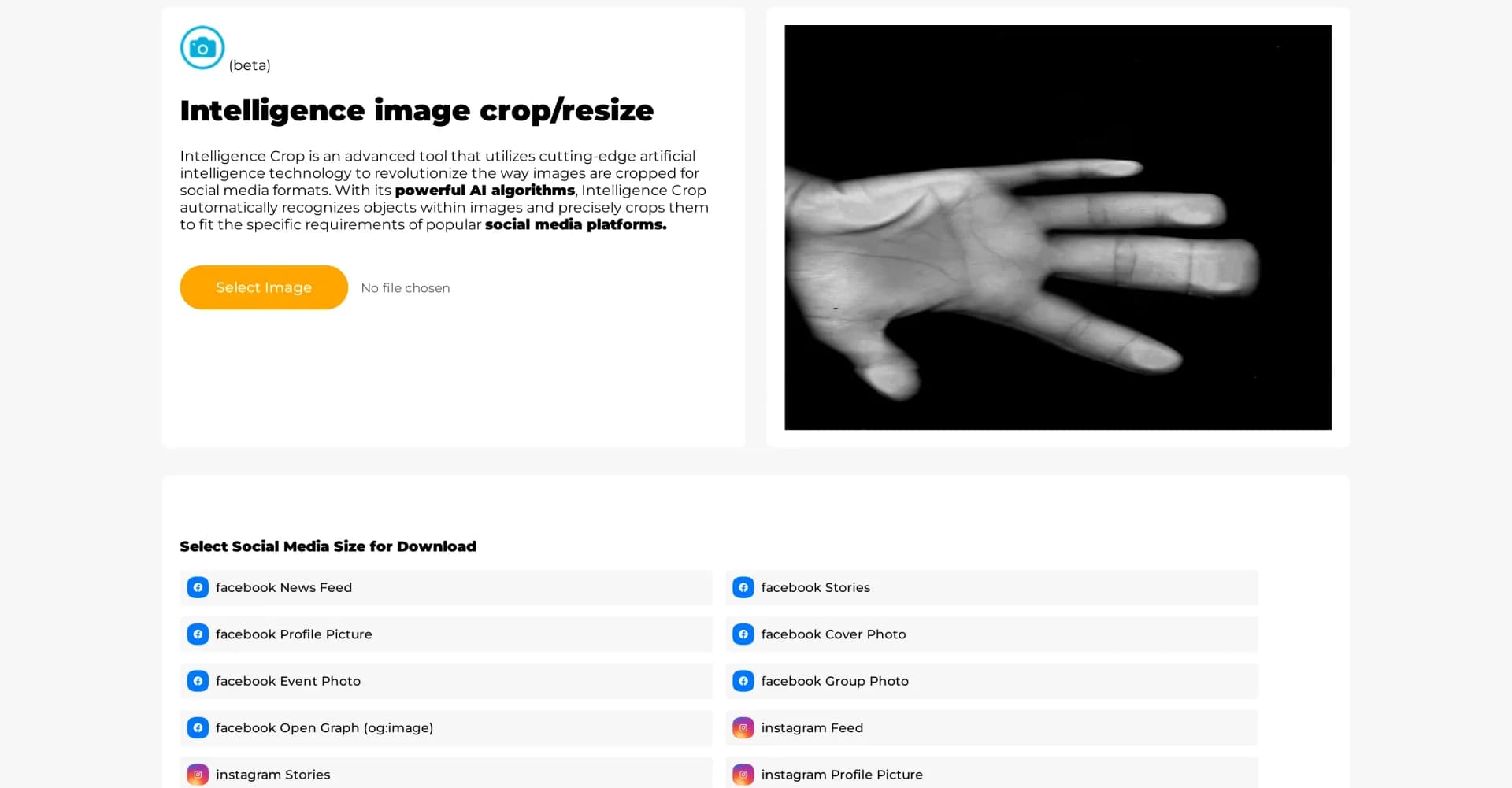 Photostockeditor homepage screenshot — AI-powered image resizing for perfect social media posts