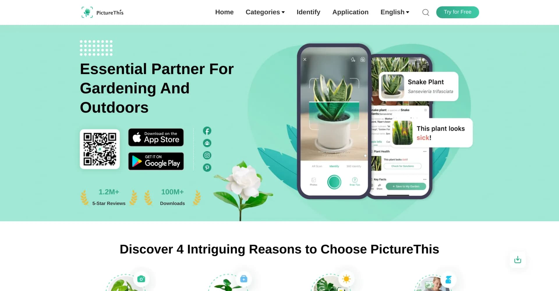 PictureThis homepage screenshot — Identify plants instantly with your camera.