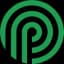 PitchPower logo