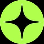 Raizer logo