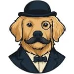Sniff Job logo