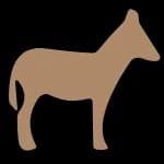 Songdonkey logo