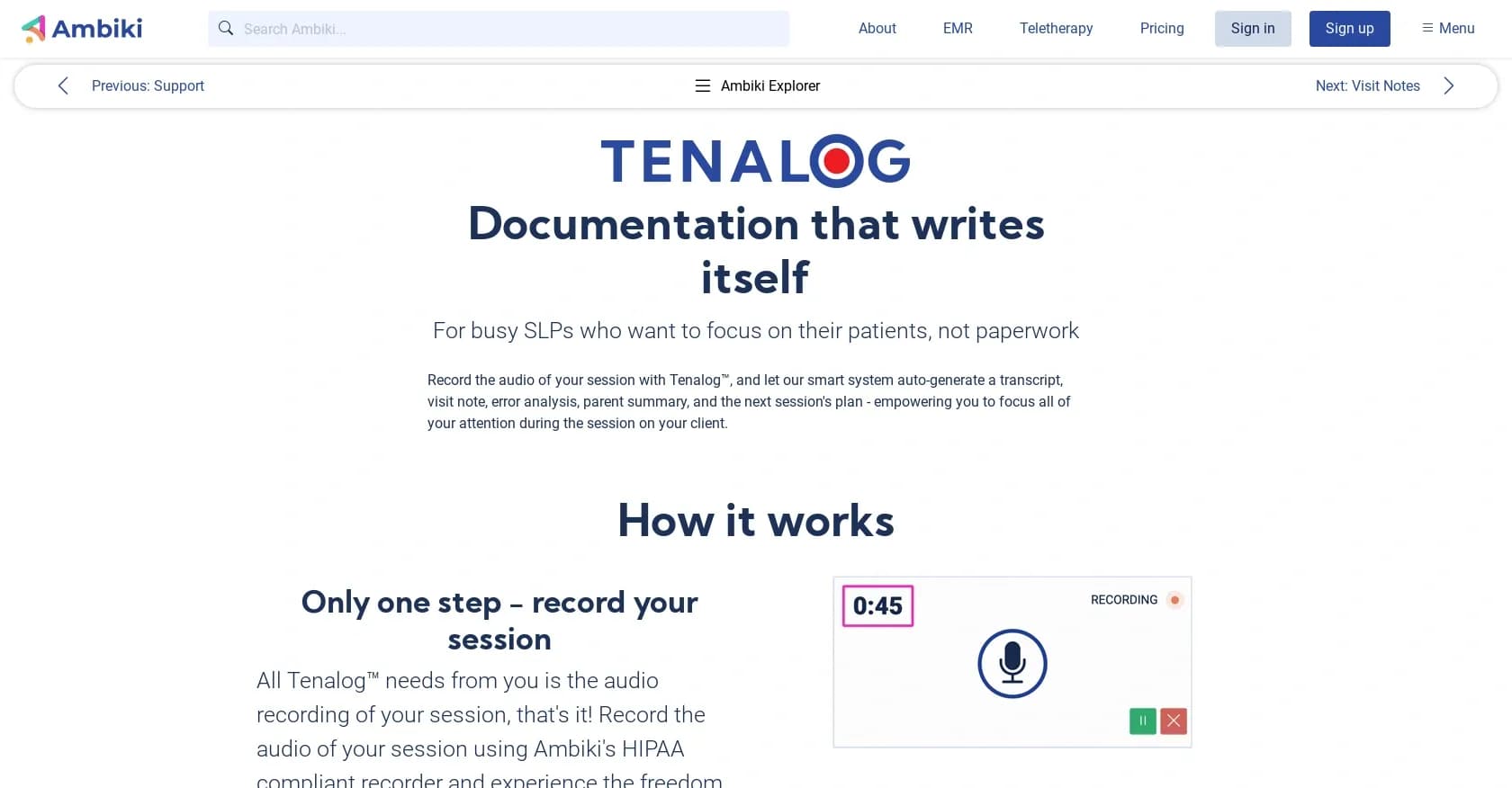 Tenalog homepage screenshot — Get your time back with smart therapy tools