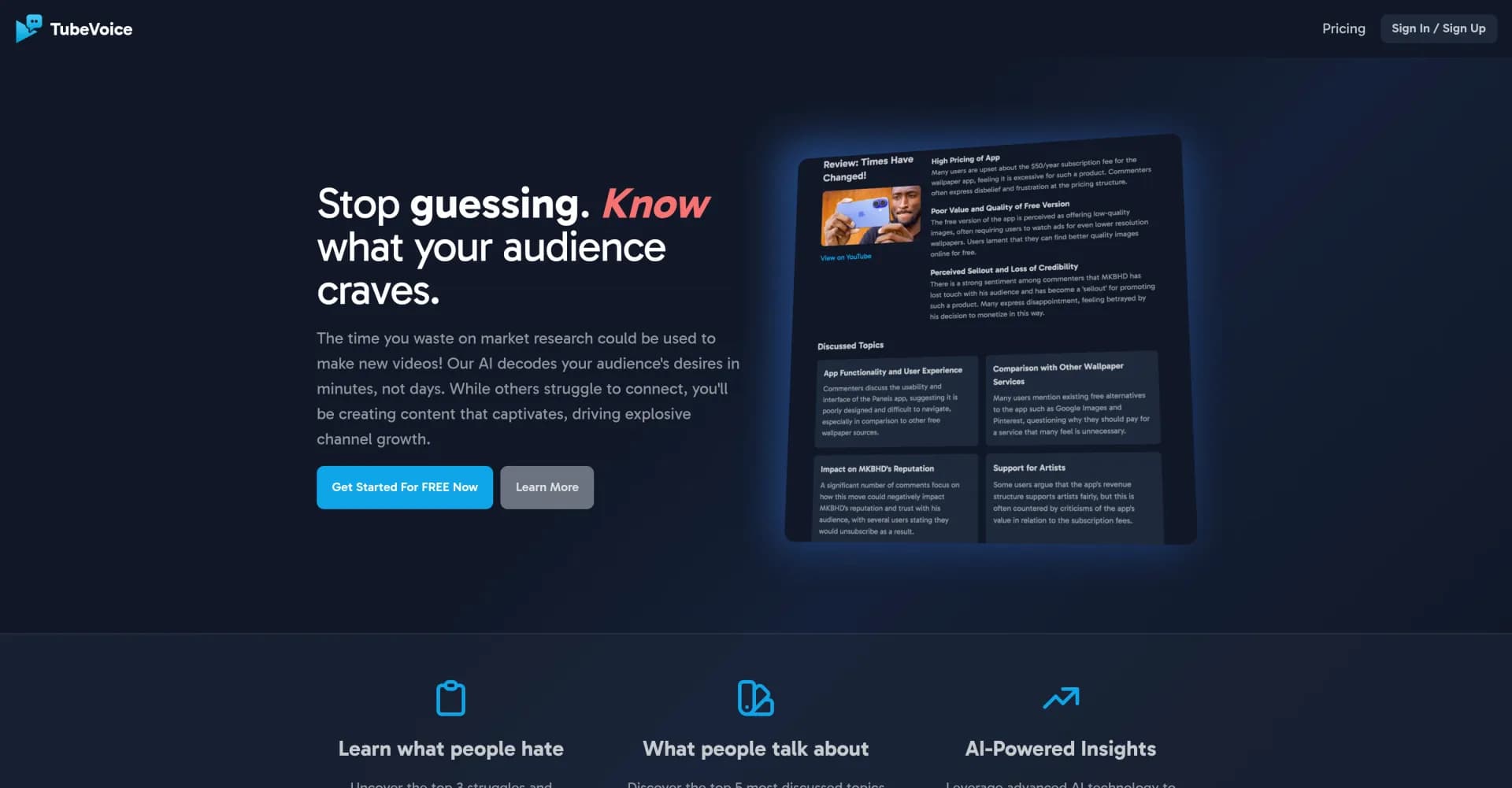 TubeVoice homepage screenshot — Decode audience desires from YouTube comments in minutes.