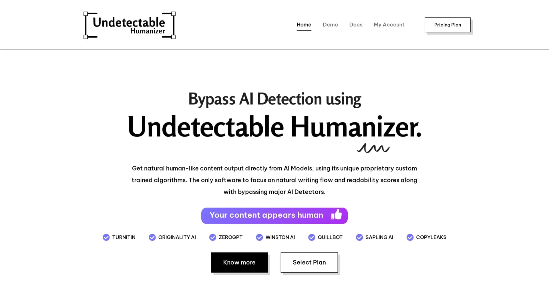 Undetectable AI Humanizer homepage screenshot — Humanize AI text to bypass detection.