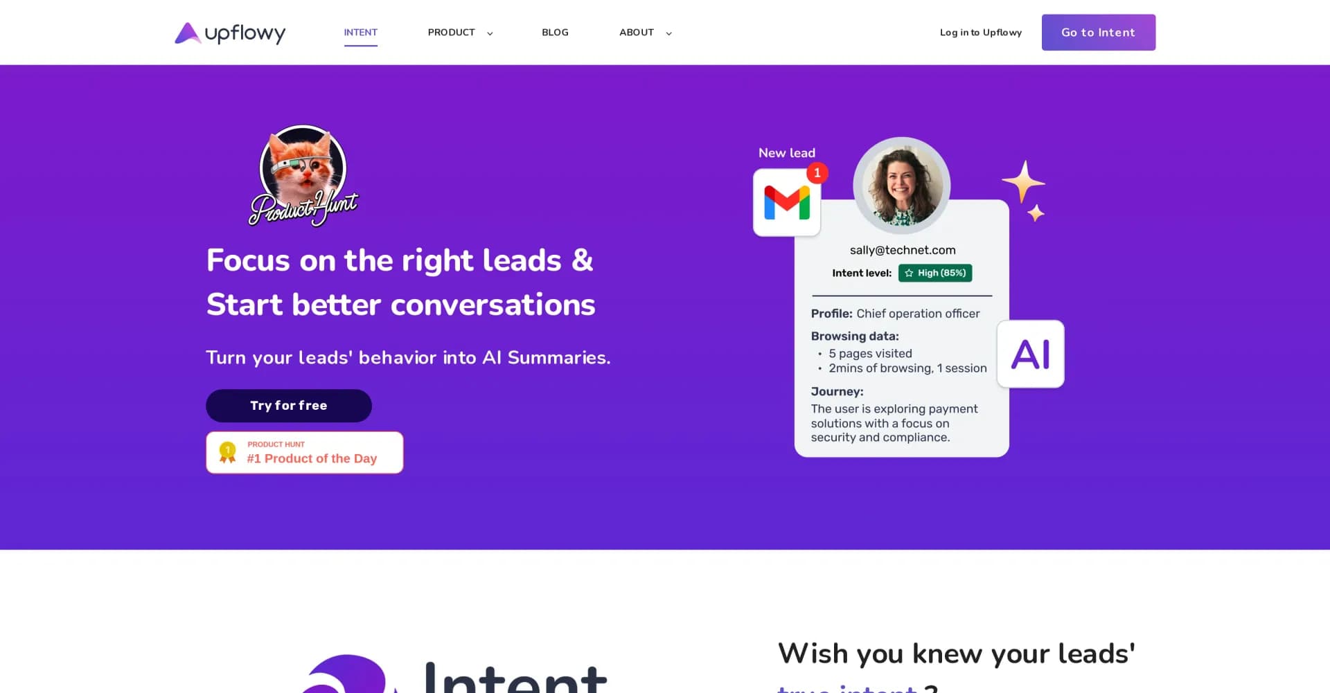 Upflowy homepage screenshot — Turn leads' browsing into actionable AI summaries.