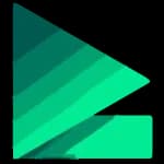 Vaizz logo