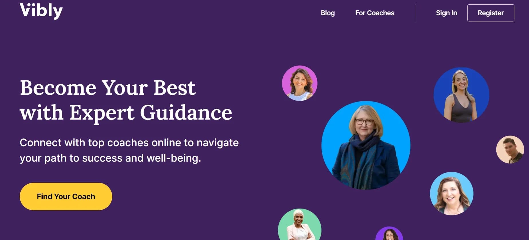 Vibly homepage screenshot — Connect with top coaches for holistic success and well-being