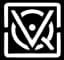 VideoIQ AI logo