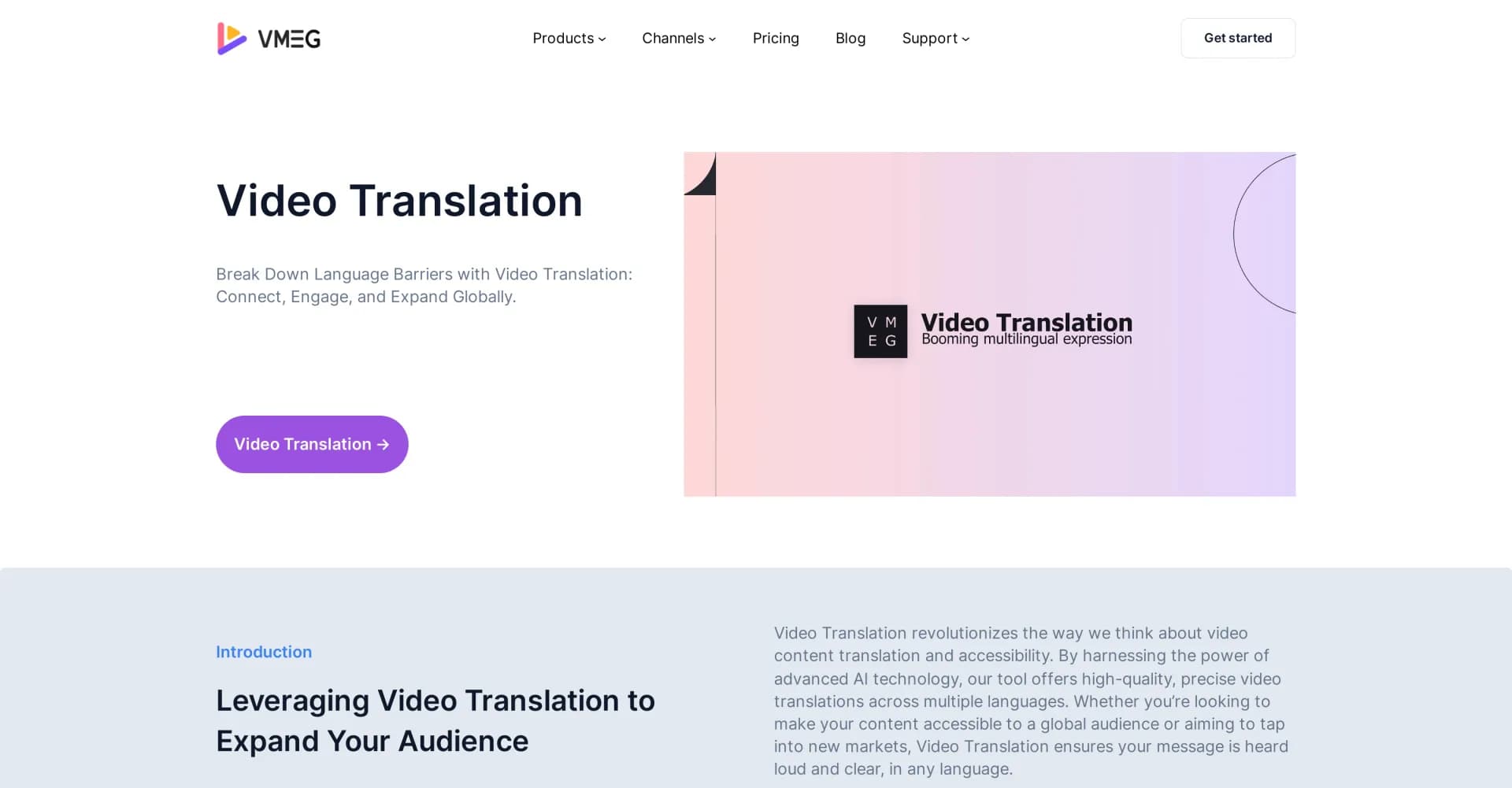 VMEG Video Translation homepage screenshot — Break Down Language Barriers with Video Translation