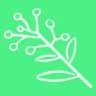 Wattle logo