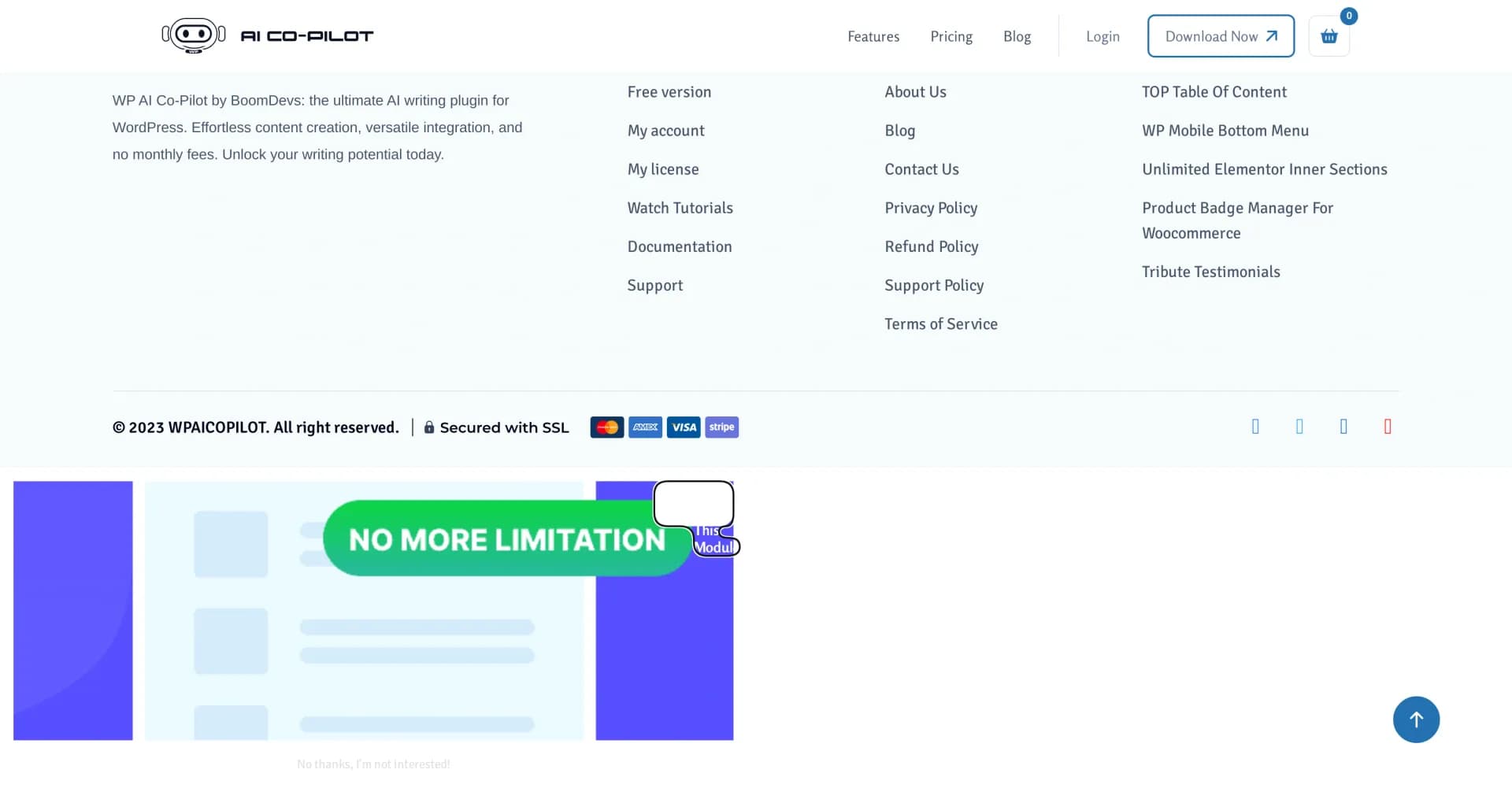 WP AI CoPilot homepage screenshot — Create and publish AI content effortlessly in WordPress.